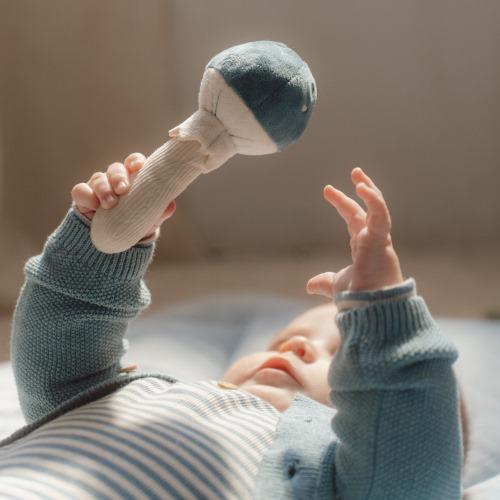 צעצוע רעשן - פטרייה