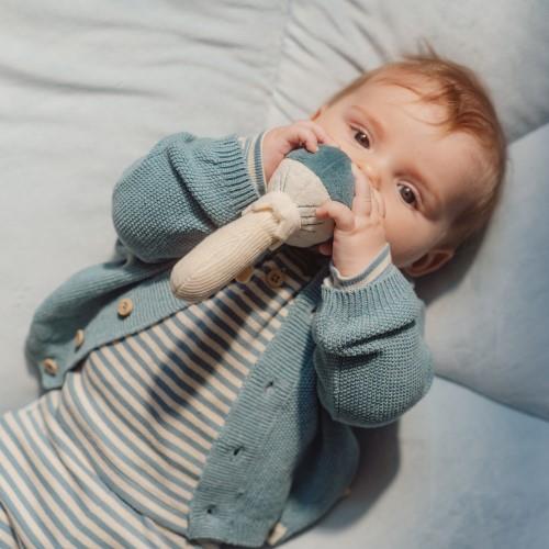 צעצוע רעשן - פטרייה