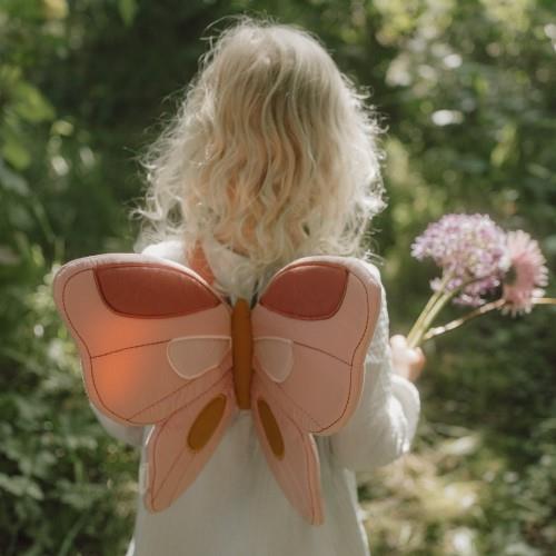 כנפי פיות ושרביט קסמים