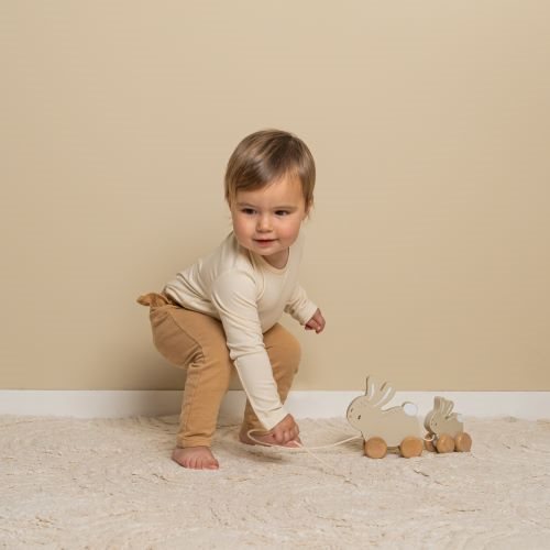 צעצוע משיכה – ארנבות