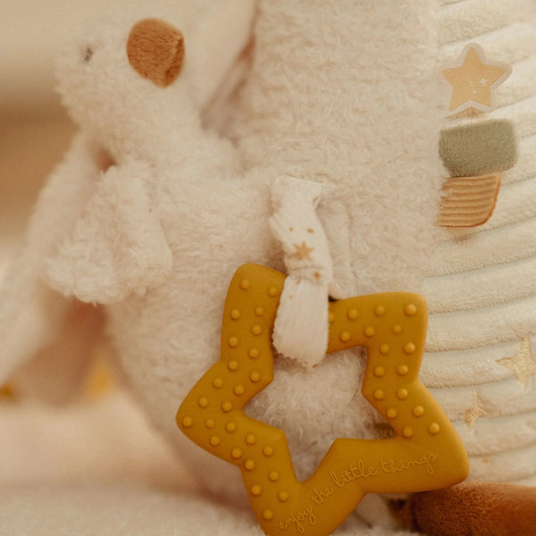 צעצוע פעילות אווז