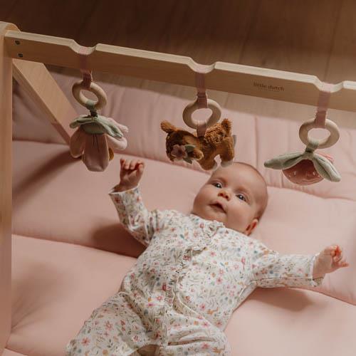 אוניברסיטה מעץ לתינוקות – גן פיות