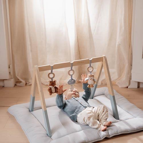 אוניברסיטה מעץ לתינוקות – חברי יער