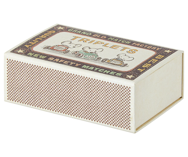 שלישיית עכברים תינוקות בקופסה