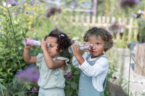 קליידוסקופ – חברי יער
