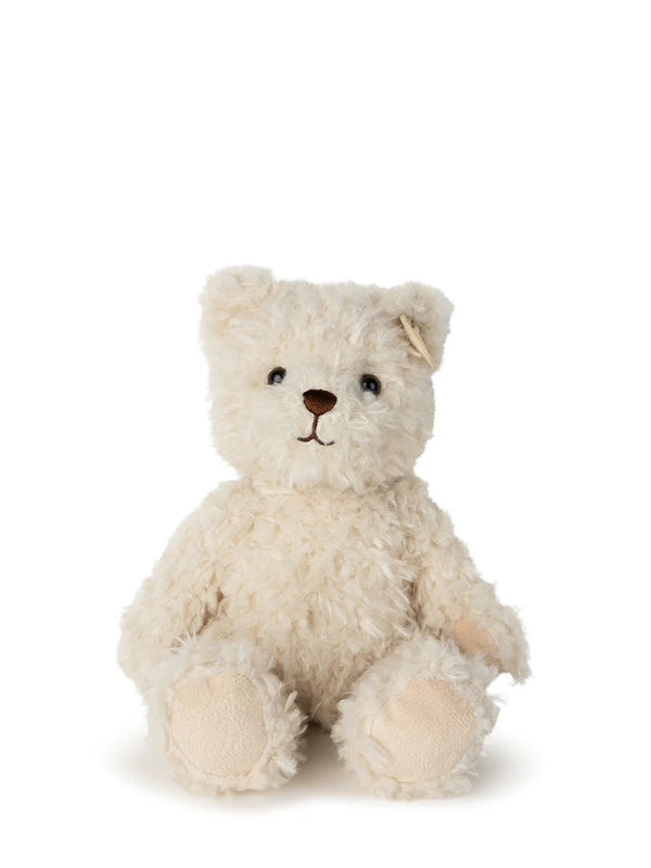 FREDERICK THE TRAVELLER BEAR IN SUITCASE