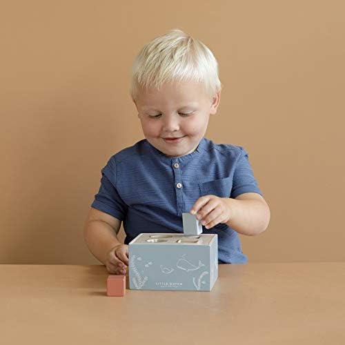 סדרן צורות – אוקיינוס