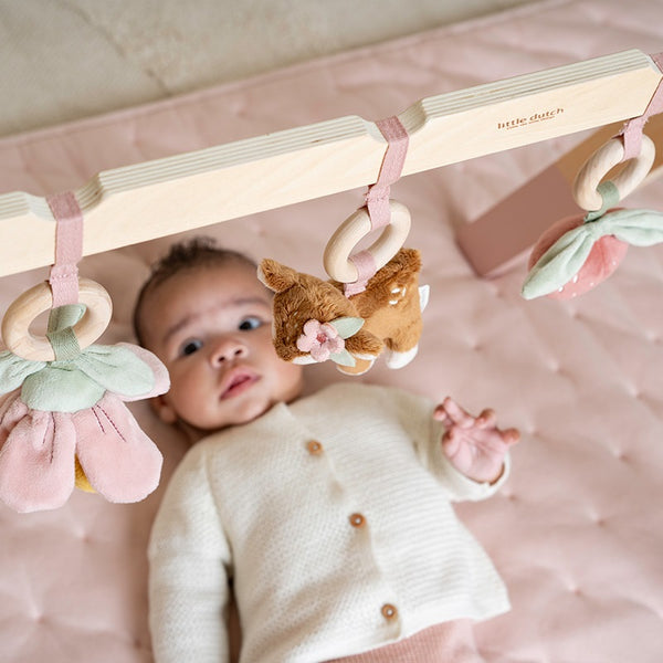 אוניברסיטה מעץ לתינוקות – גן פיות