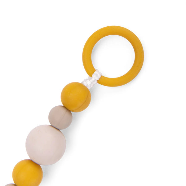 אריה - מחזיק מוצץ