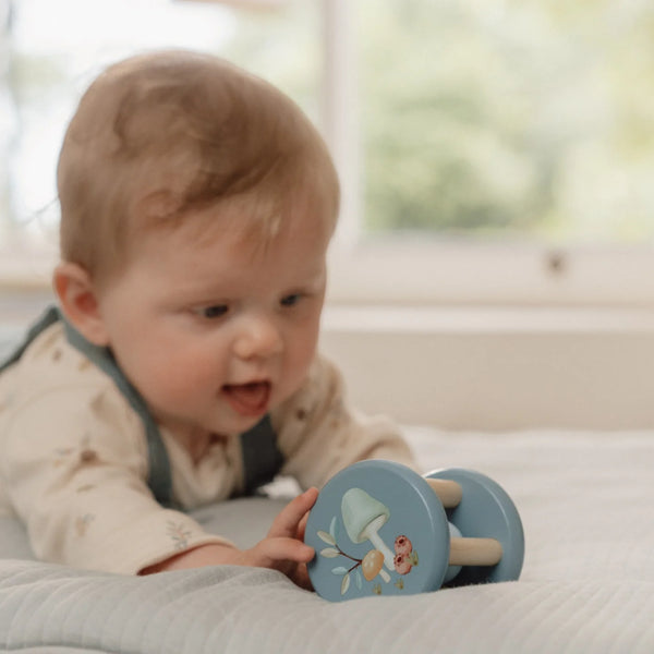 רולר רעשן חברי ער