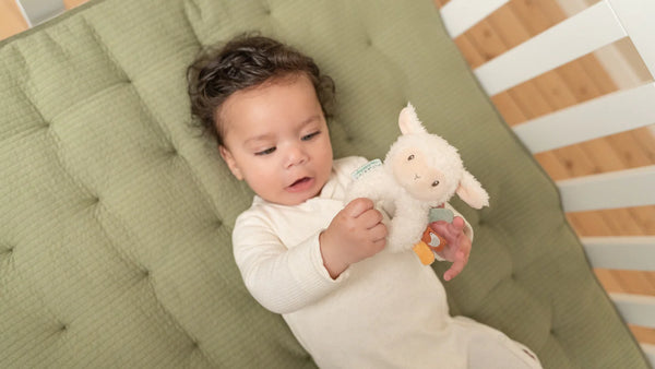 רעשן כבשה LITTLE FARM