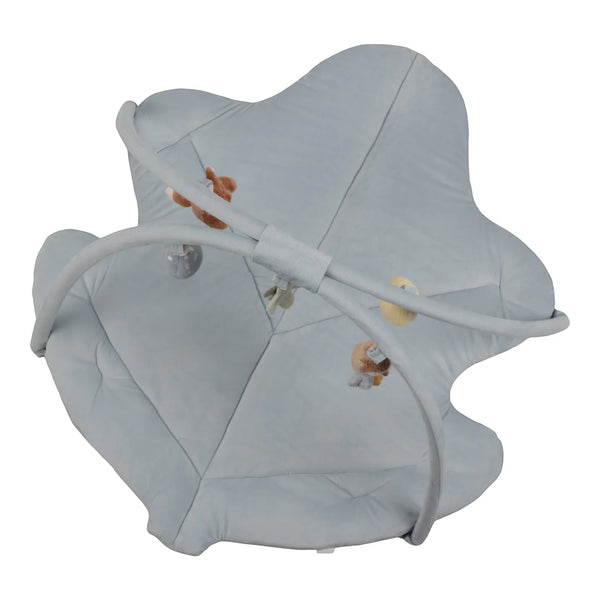 אוניברסיטה לתינוקות FOREST FRIENDS