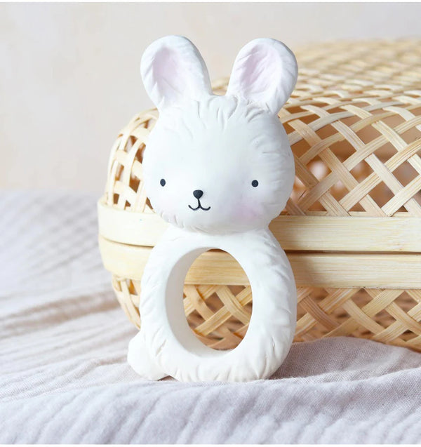 נשכן טבעת ארנב