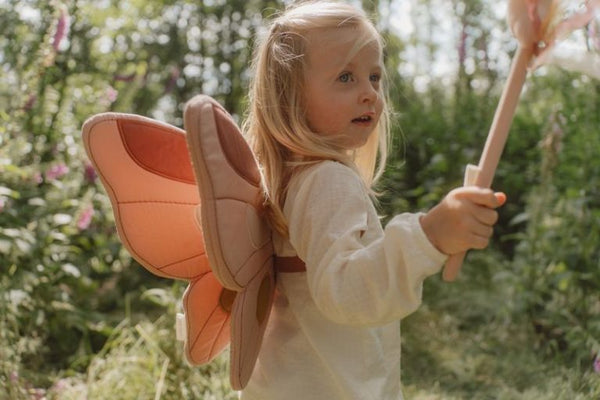 כנפי פיות ושרביט קסמים