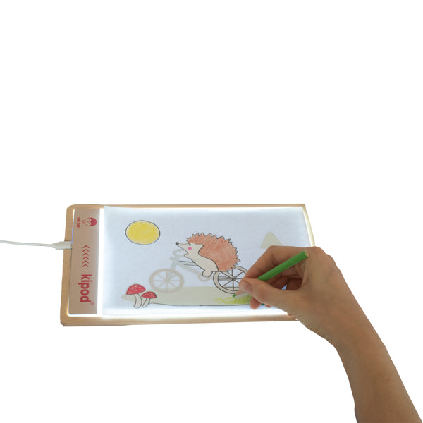 לוח אור לציור