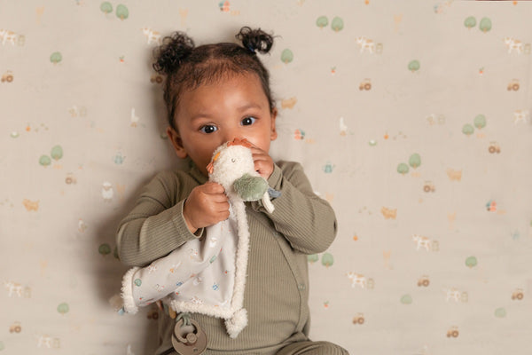 תרנגולת בד חיבוק – חווה קטנה