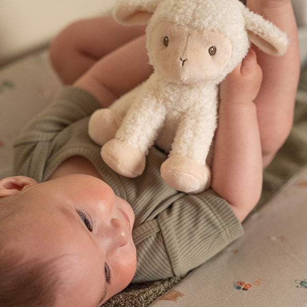 כבשי לכירבול 17 ס"מ – חווה קטנה