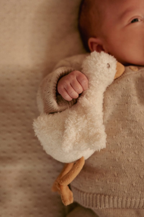 Gift Box Newborn Naturals – מארז מתנה לתינוק חדש