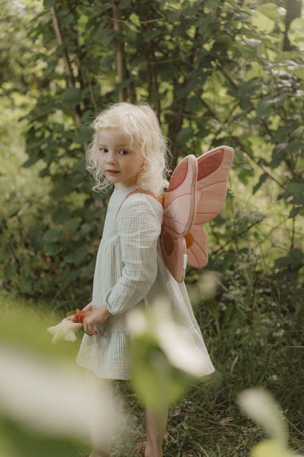 כנפי פיות ושרביט קסמים