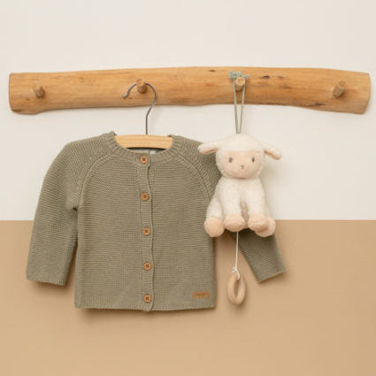 כבשי צעצוע נגינה