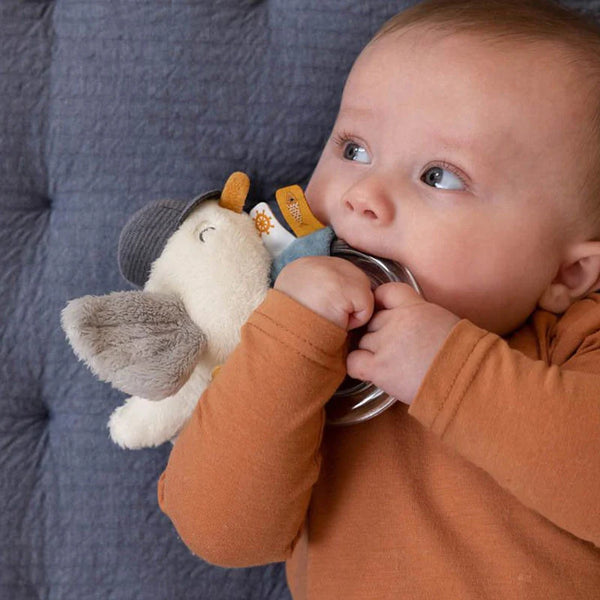 רעשן שחף SAILORS BAY