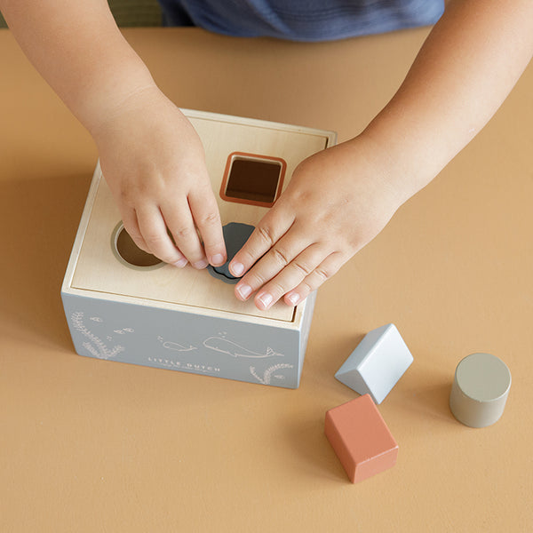 סדרן צורות – אוקיינוס