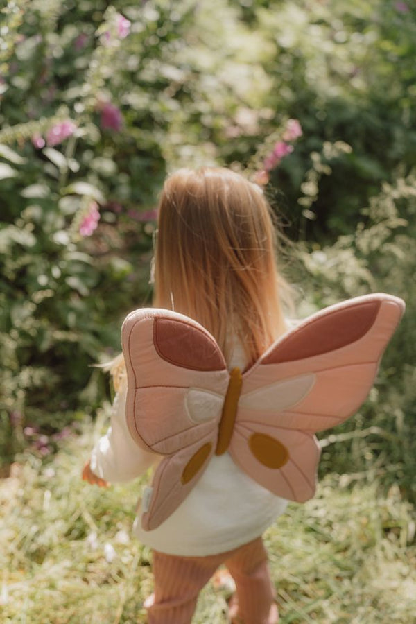 כנפי פיות ושרביט קסמים