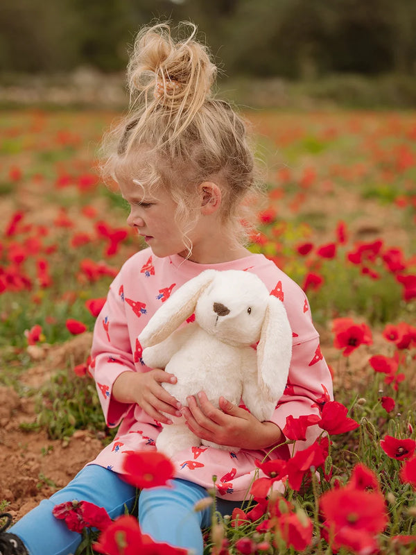 הארנבון Robbert