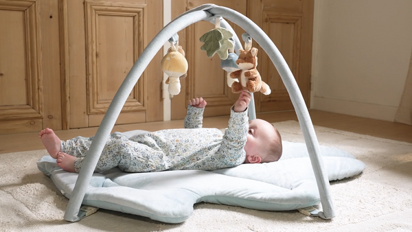 אוניברסיטה לתינוקות FOREST FRIENDS