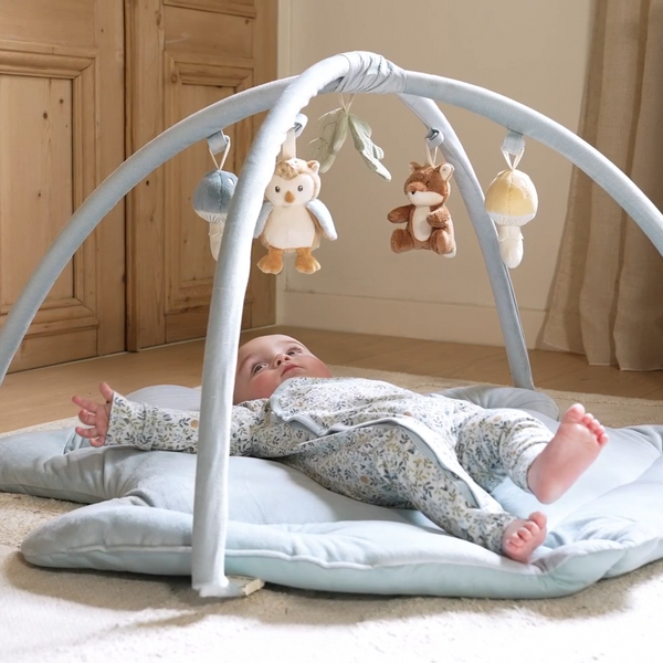 אוניברסיטה לתינוקות FOREST FRIENDS