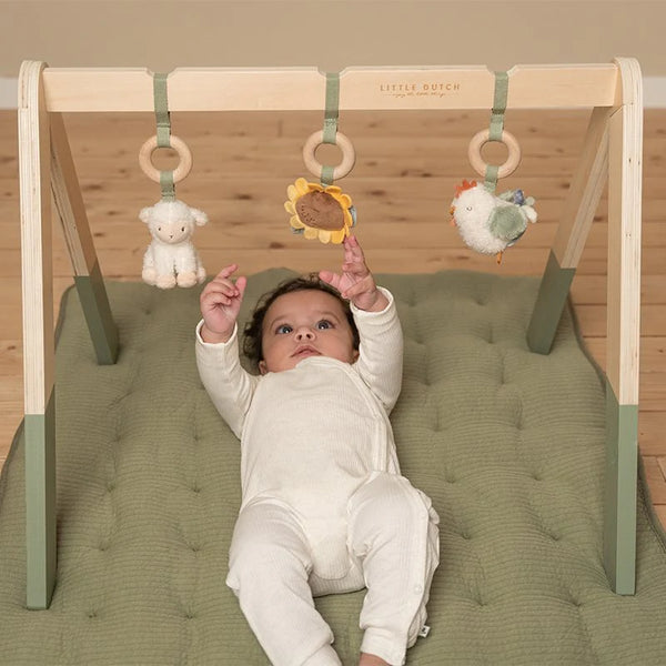 חדר כושר לתינוקות Little Farm