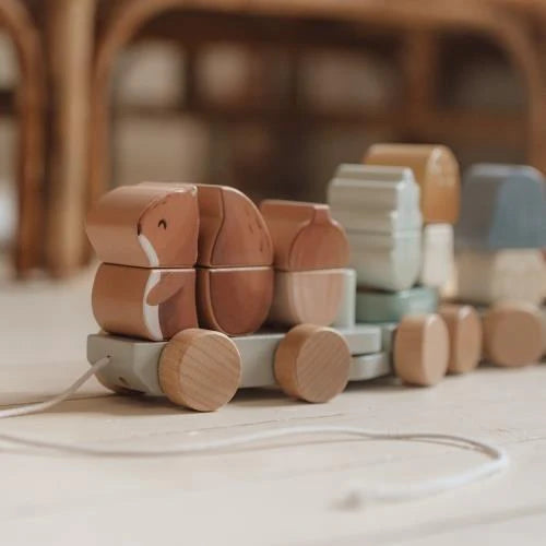 WOODEN BLOCK TRAIN FF