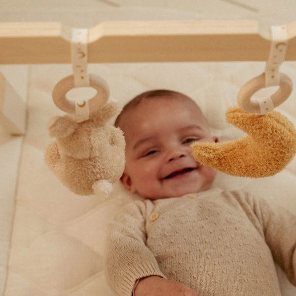 Baby Gym Newborn Naturals – בייבי ג'ים רך בצבעי טבע נייטרליים