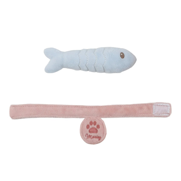 חתול חיבוק בתיק – צבעוני