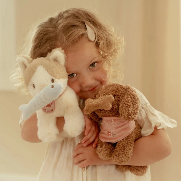 חתול חיבוק בתיק – צבעוני