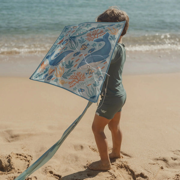 עפיפון OCEAN