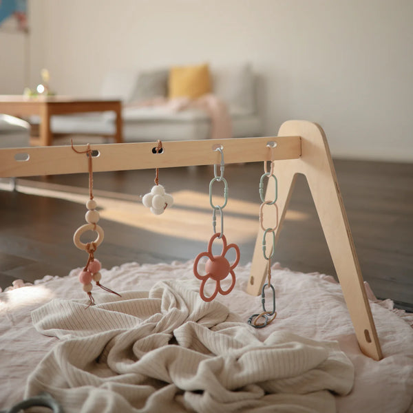 נשכן רעשן DAISY LILAC