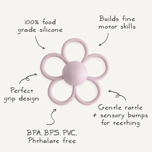 נשכן רעשן DAISY LILAC