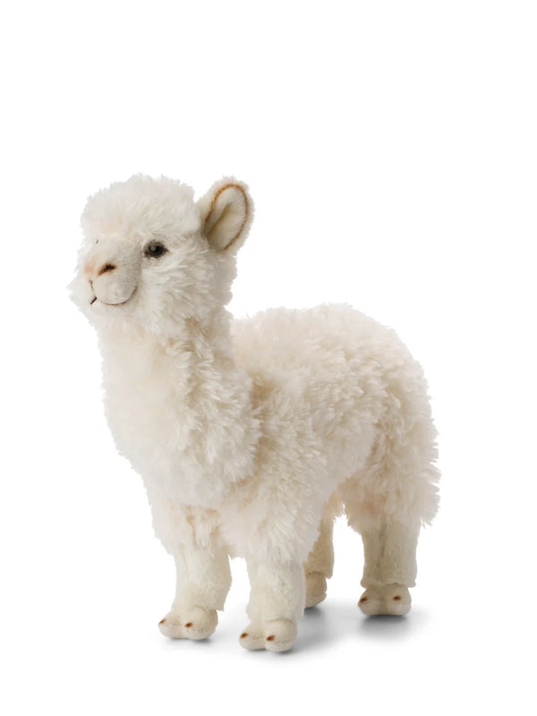 WHITE ALPACA