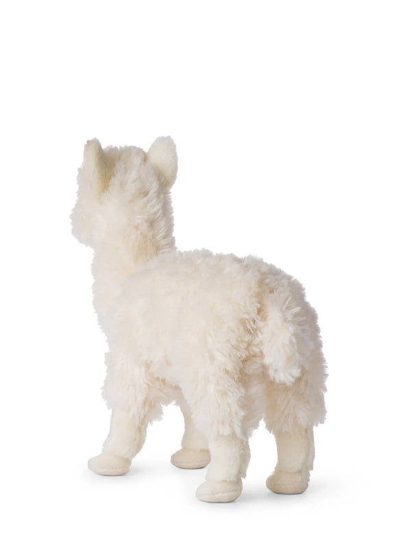 WHITE ALPACA