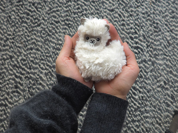 כרית חימום למה קטנה