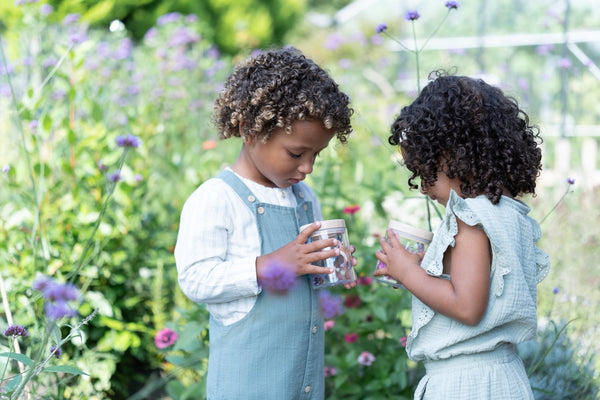 צנצנת חרקים – כחול – חברי יער