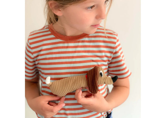 כרית חימום כלב