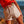 Load image into Gallery viewer, LITTLE GIRL SHORTS KLODETTE
