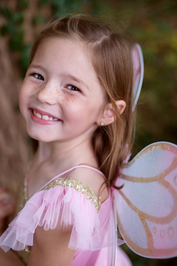 Gold Butterfly Dress and wings