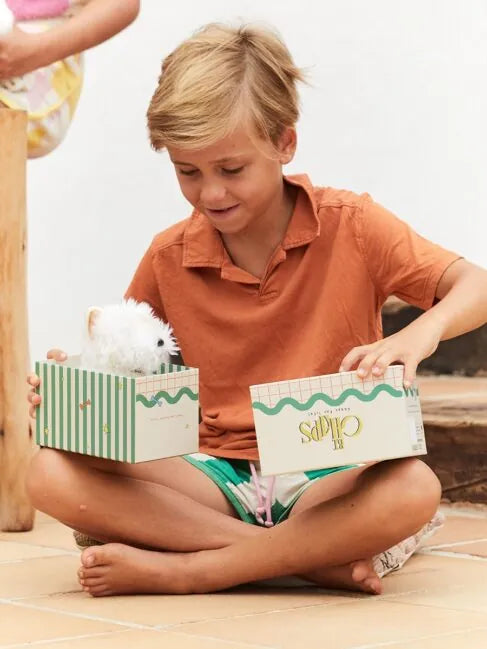 טימותי הטרייר הסקוטי בקופסת מתנה 17 ס”מ