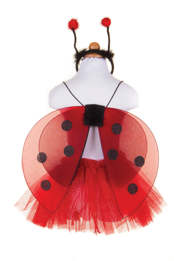 Glitter Ladybug fairy set