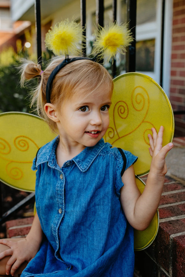 Bumble bee Wings & Headband