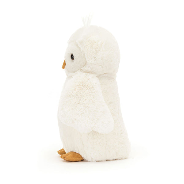 ינשוף Bashful Owl