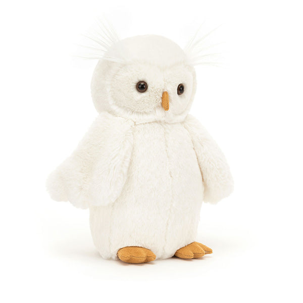 ינשוף Bashful Owl